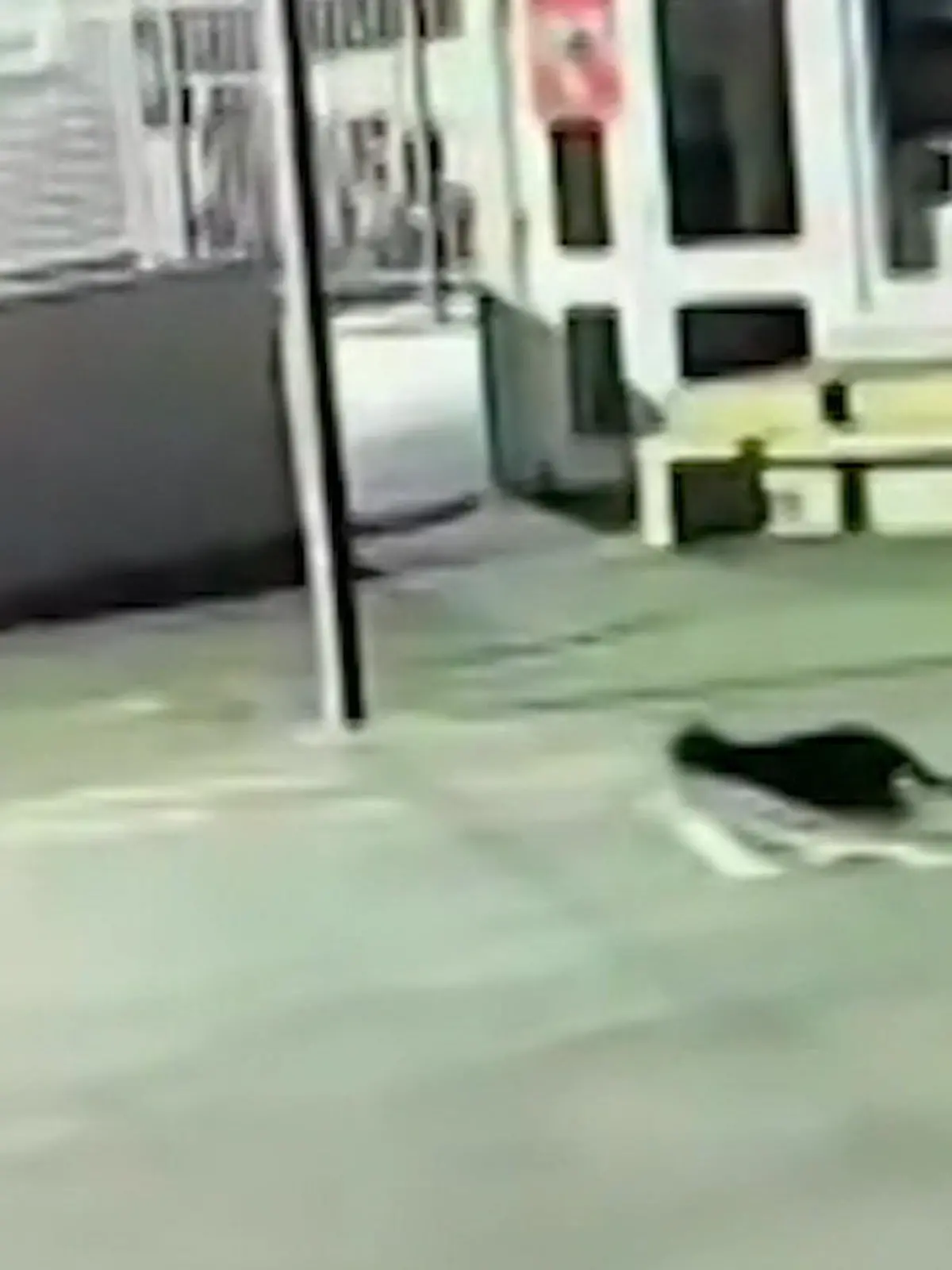 Bild zu: "Ein Jahr lang! Mysteriöser Unterwäsche-Dieb macht Schule unsicher"