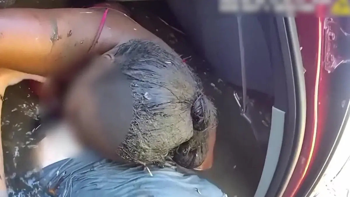 Er hält die bewusstlose Mutter am Leben! Casey rettet Familie nach Autounfall Kinder schrien um Hilfe