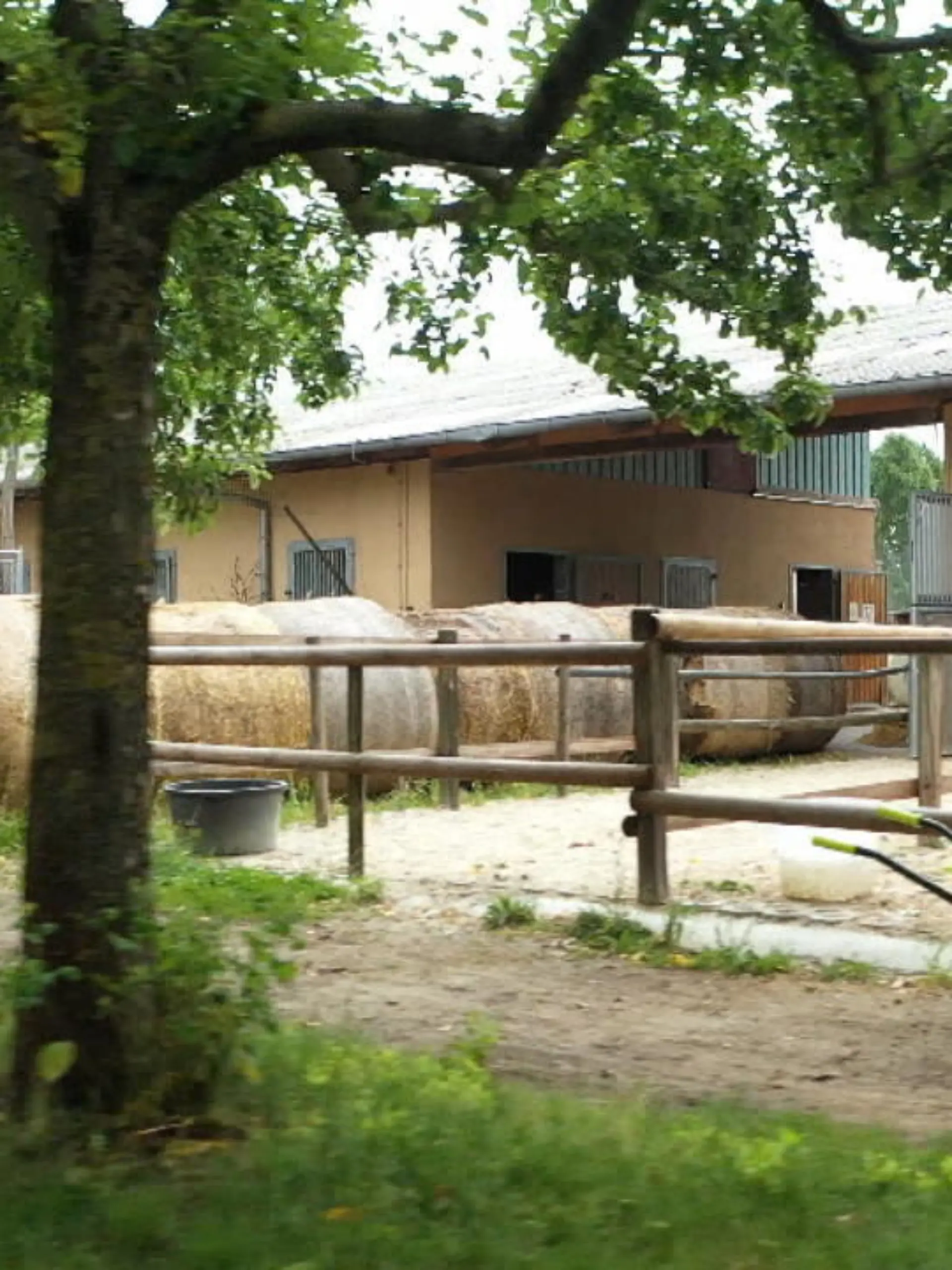 Bild zu: "Menschen mit Handicap führen Bauernhof"