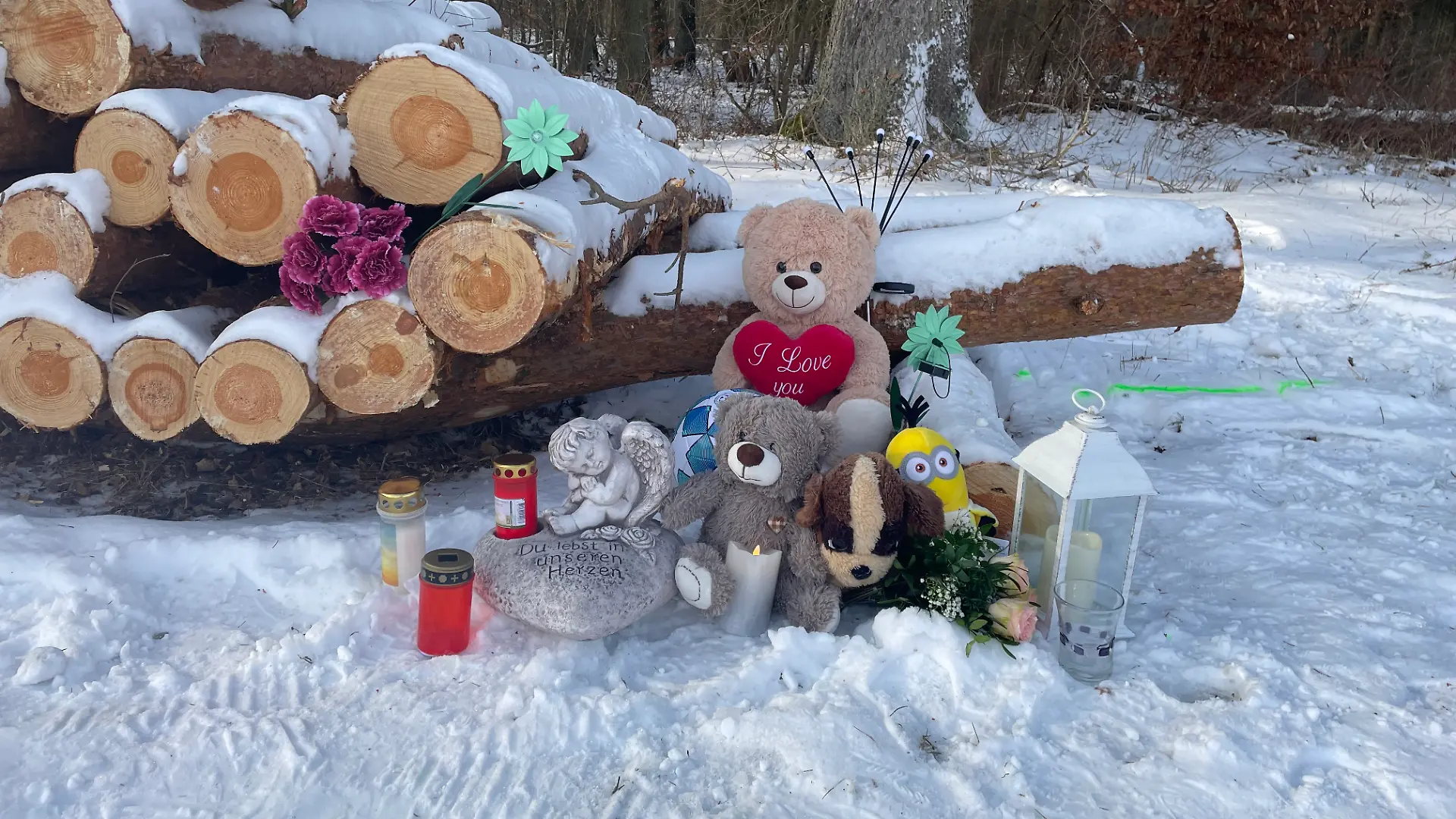 Durch den Zusammenstoß mit diesen Baumstämmen wurde der Elfjährige so schwer verletzt, dass er starb.