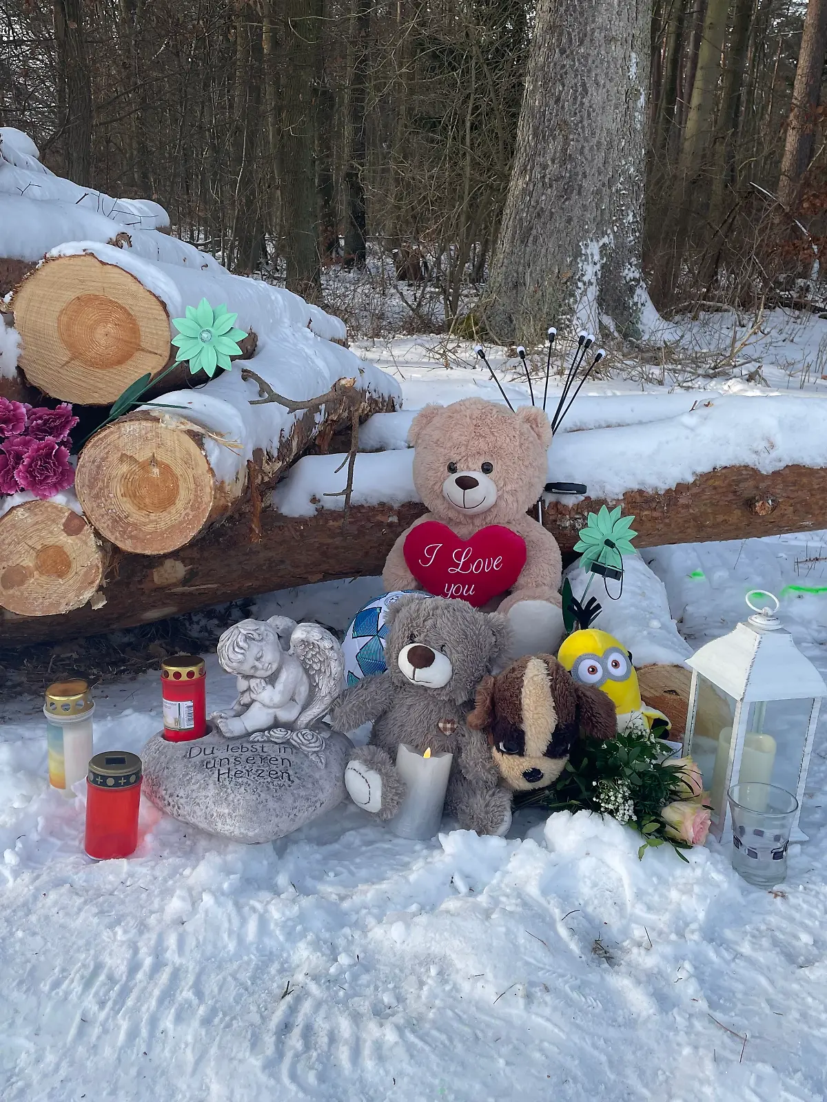 Durch den Zusammenstoß mit diesen Baumstämmen wurde der Elfjährige so schwer verletzt, dass er starb.