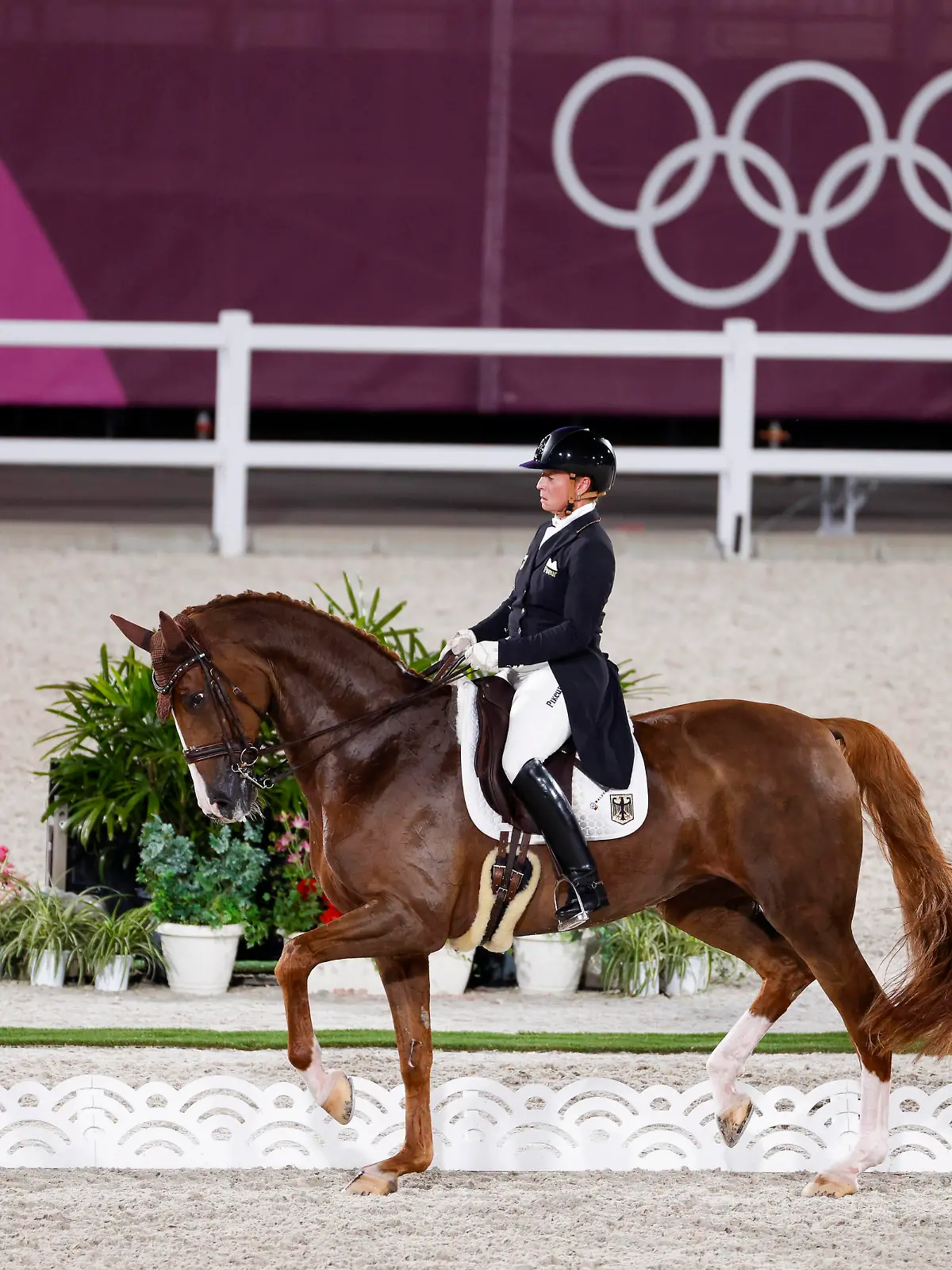  TOKYO - Olympische Spiele / Olympic Games, Olympische Spiele, Olympia, OS 2021, TOKYO - Olympische Spiele / Olympic Games 2021 WERTH Isabell GER, Bella Rose 2 Grand Prix de Dressage Tokio, Equestrian Park 25. July 2021 - *** TOKYO Olympic Games Olympic Games 2021, TOKYO Olympic Games Olympic Games 2021 WERTH Isabell GER , Bella Rose 2 Grand Prix de Dressage Tokyo, Equestrian Park 25 July 2021