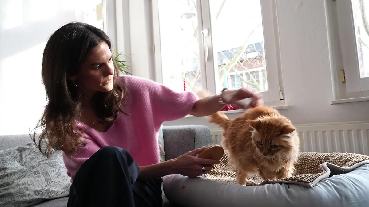 Katze Leni hat Demenz Diese Anzeichen sollten Tierhalter kennen