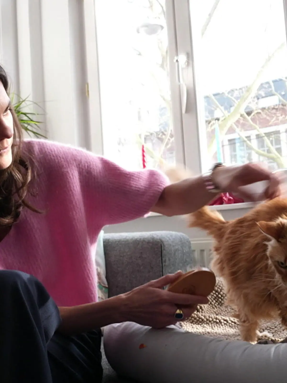 Bild zu: "Katze Leni hat Demenz"