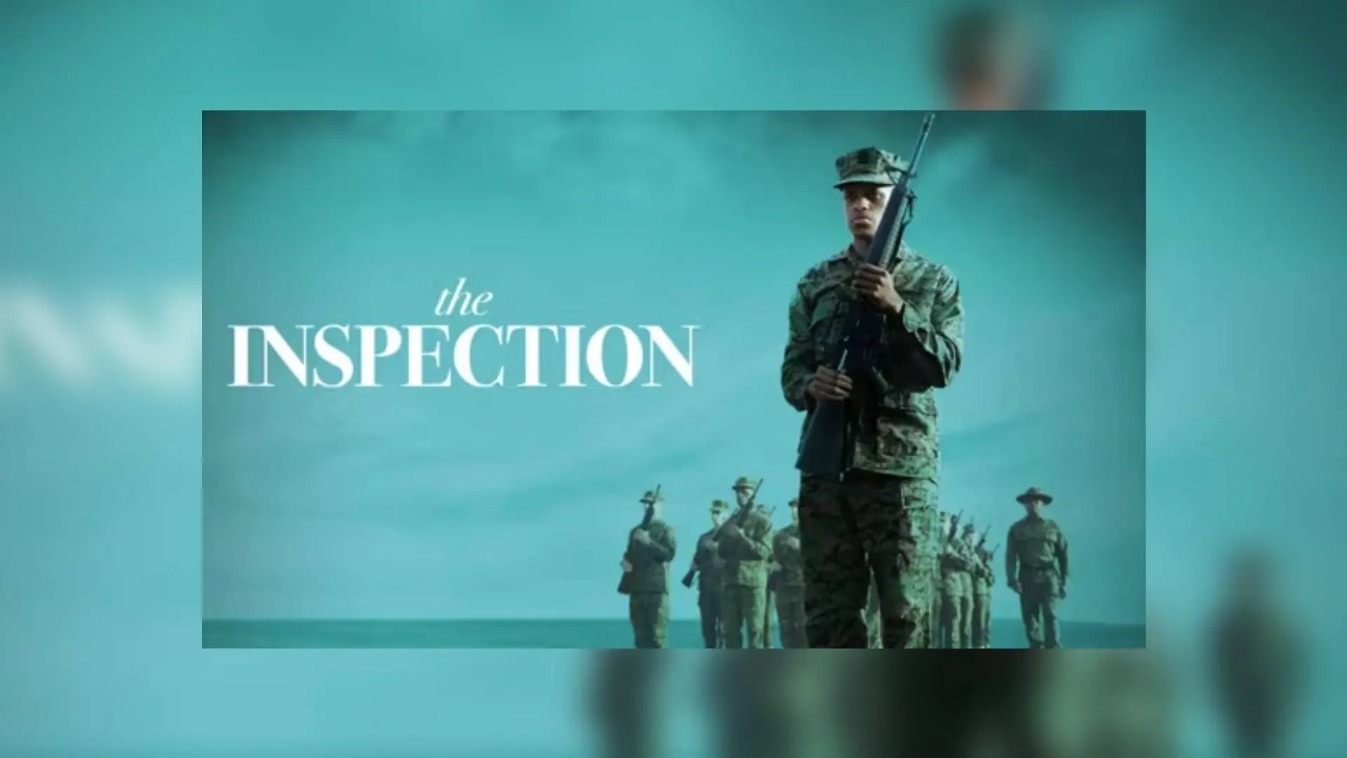 The Inspection