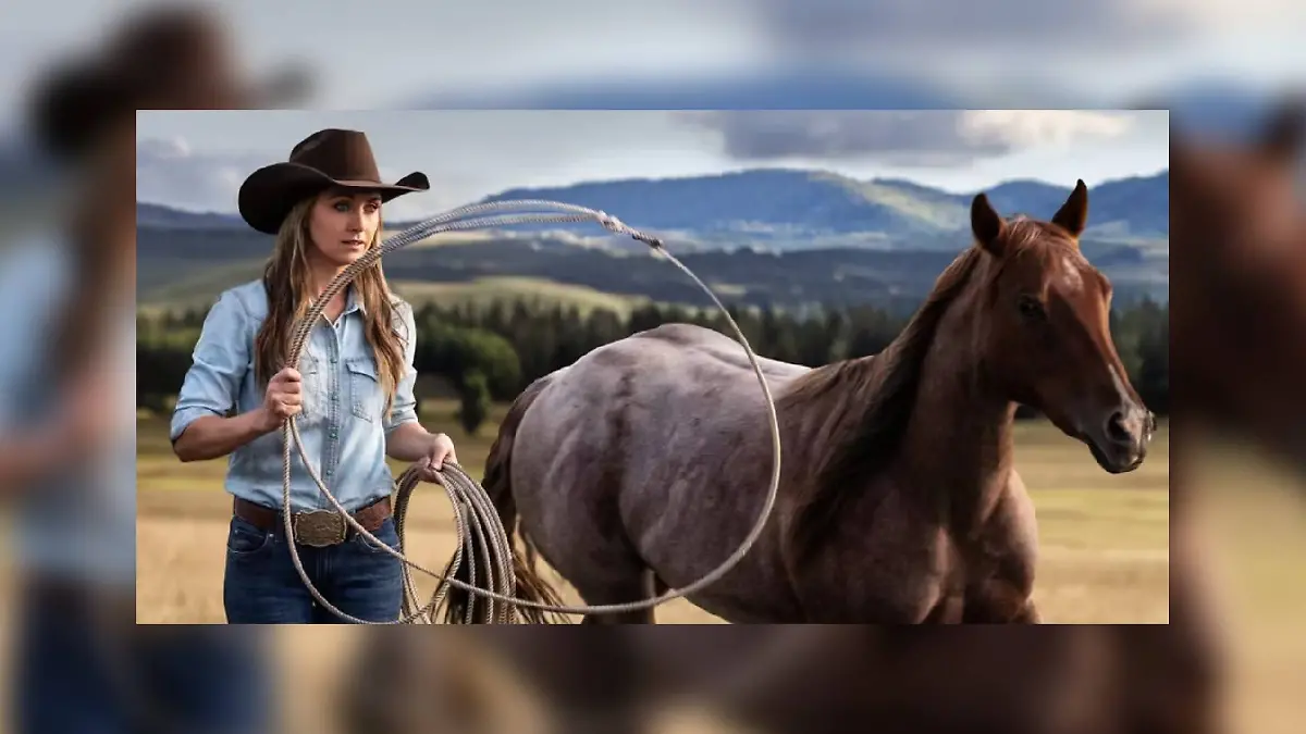 Heartland – Paradies für Pferde