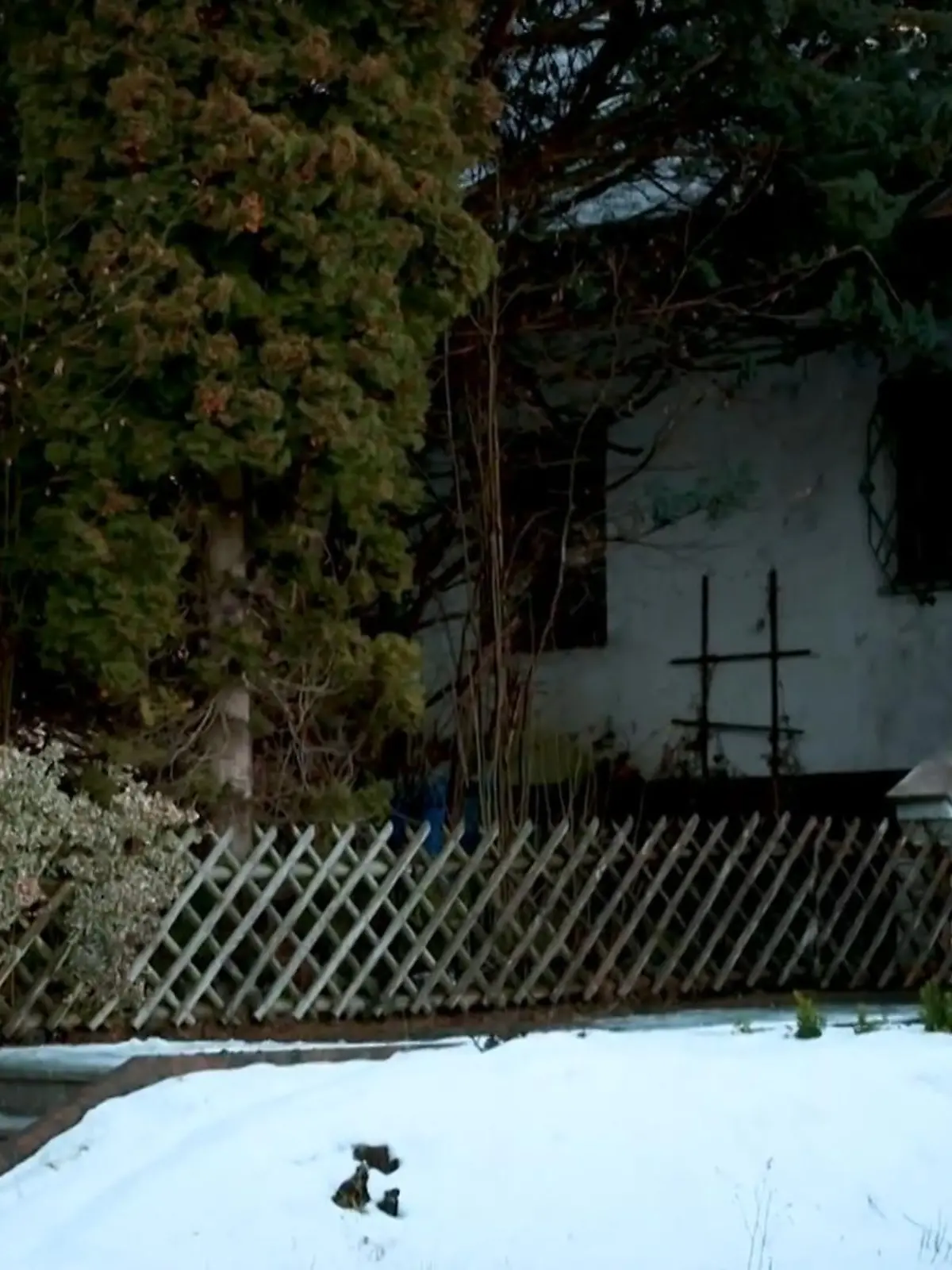 Bild zu: "Tote Mutter im Keller - Rentenbetrug aufgedeckt"