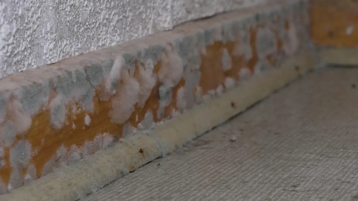 Dieses Schimmel-Experiment schockt sogar unseren Experten Unsichtbare Gefahr!