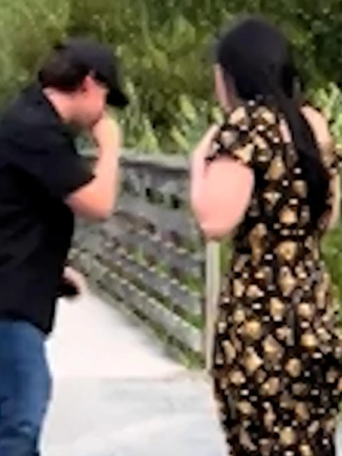 Von den Knien ins Gebüsch! Braydon übergibt sich – während er einen Heiratsantrag macht