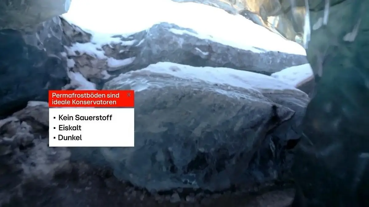 Wie der Klimawandel Krankheitserreger zurückbringt Die Gefahr aus dem Eis: