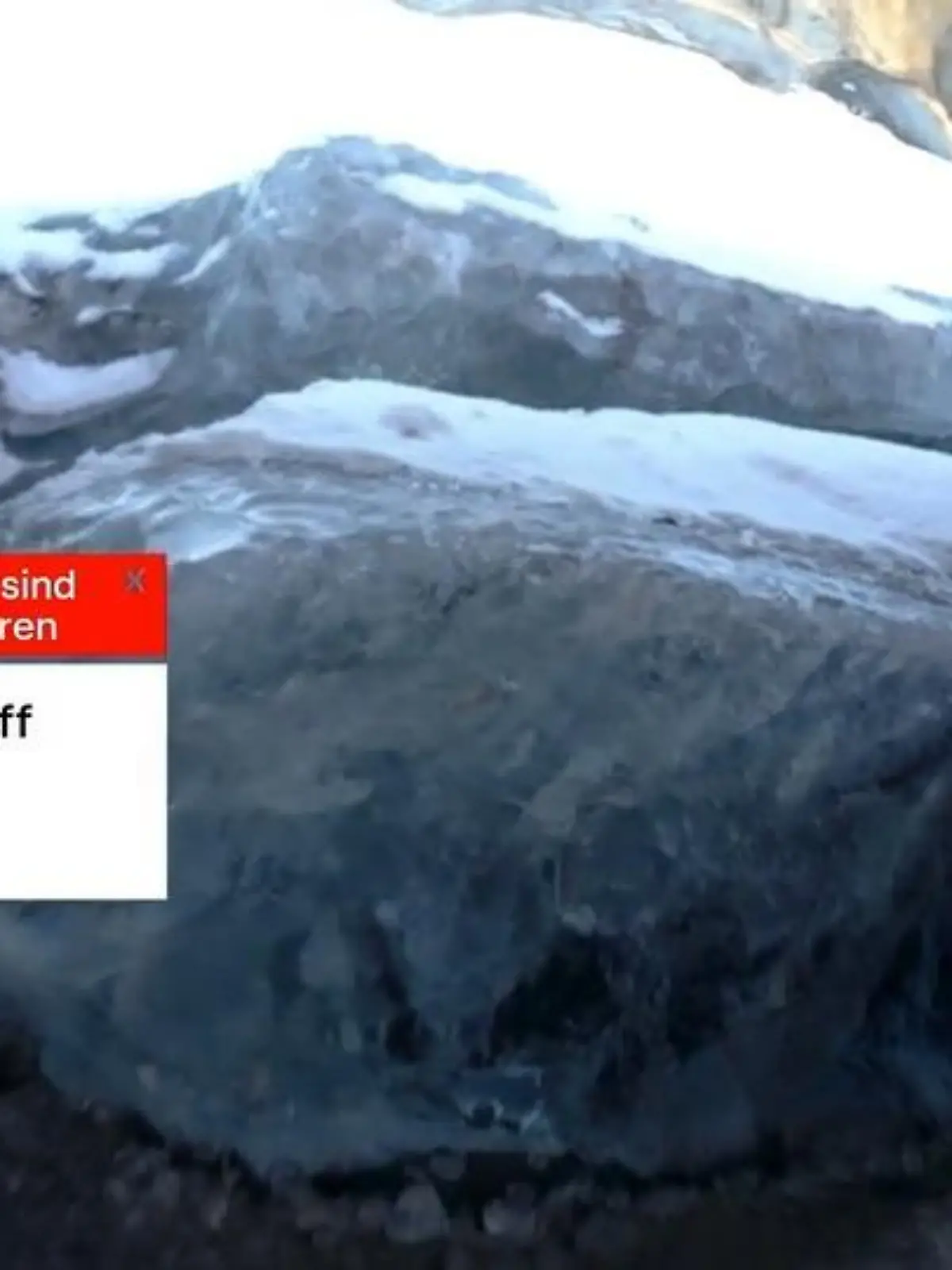 Bild zu: "Wie der Klimawandel Krankheitserreger zurückbringt"