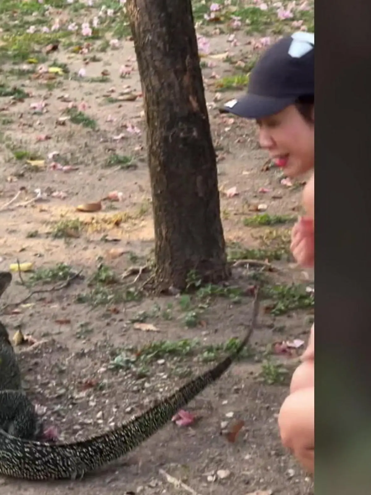 Bild zu: "Waran vs. Joggerin! Diese Schwanz-Attacke hinterlässt fiese Striemen"