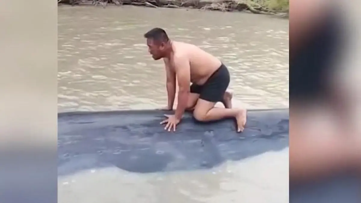 Fischer springen auf Walrücken – weil Meeresriese nicht atmen kann! Er misst 15 Meter