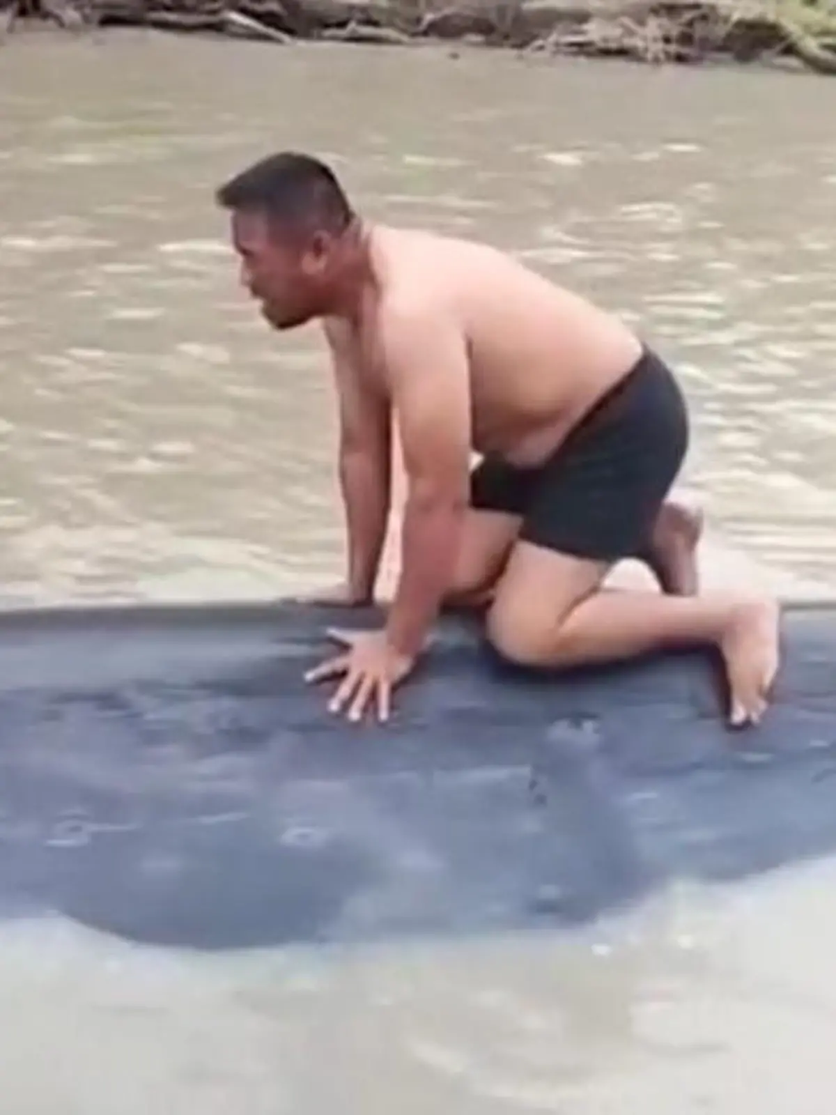 Bild zu: "Fischer springen auf Walrücken – weil Meeresriese nicht atmen kann!"