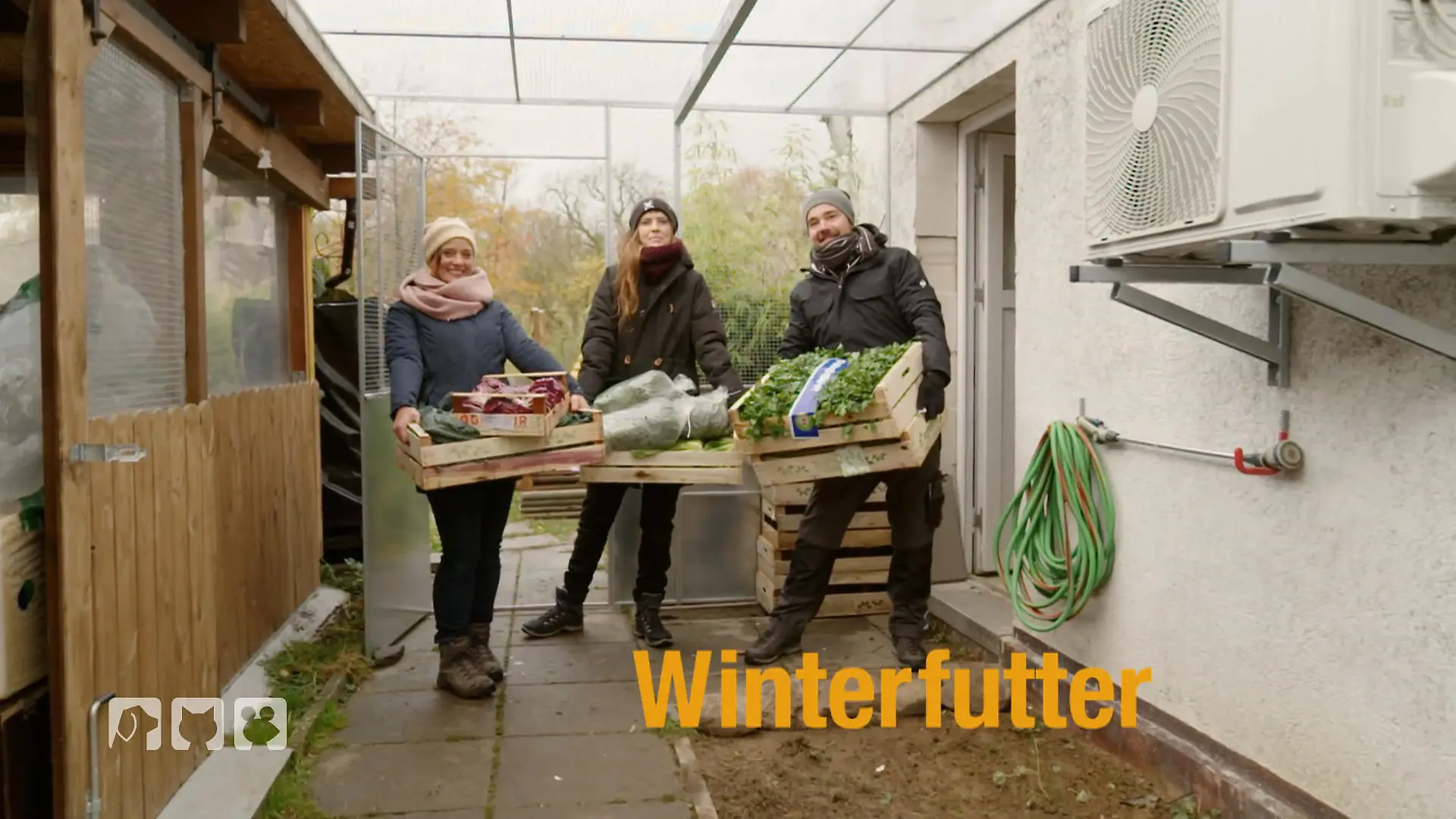 Draußen überwintern – aber richtig Winter-Check für Kaninchen