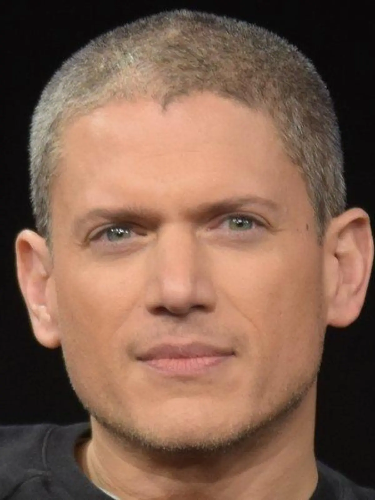 "Prison Break"-Star Wentworth Miller hat Autismus