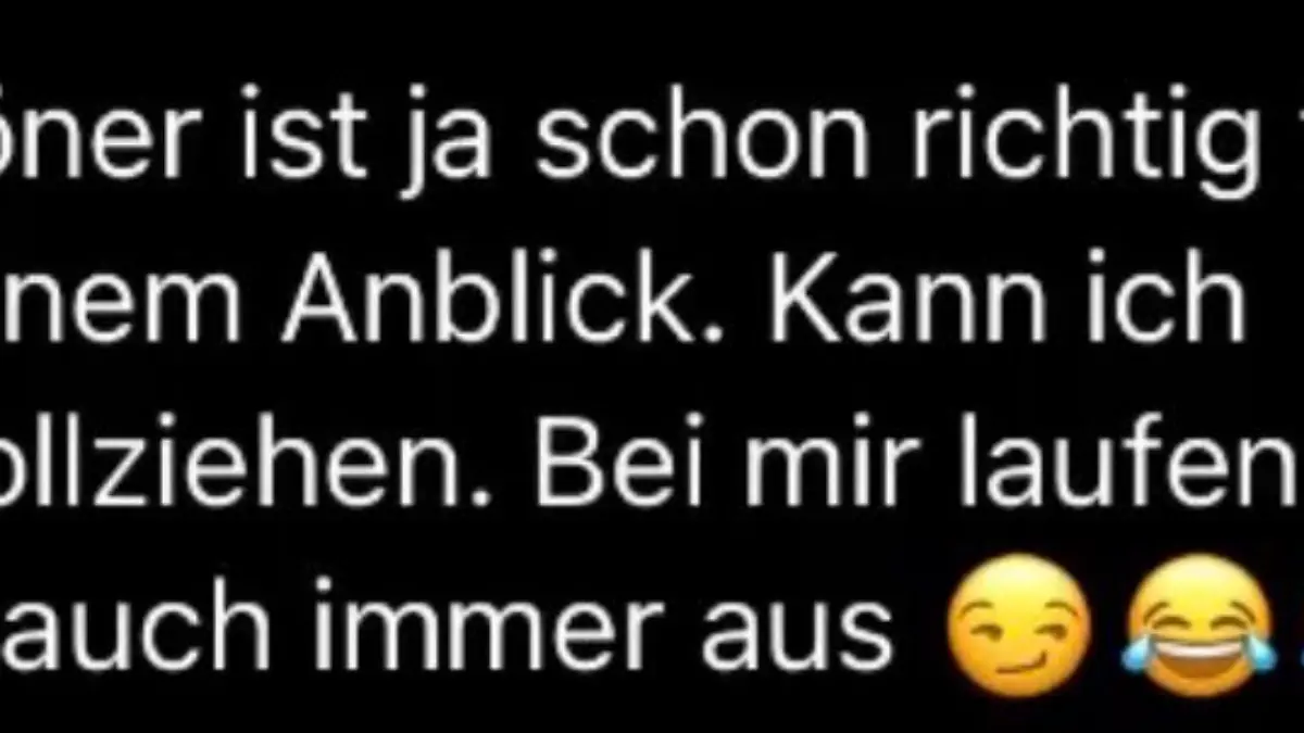 Hier noch ein paar perverse Beispiele von Instagram-Ekel-Nachrichten: