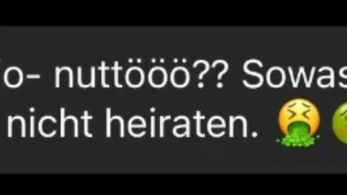 Hier noch ein paar perverse Beispiele von Instagram-Ekel-Nachrichten: