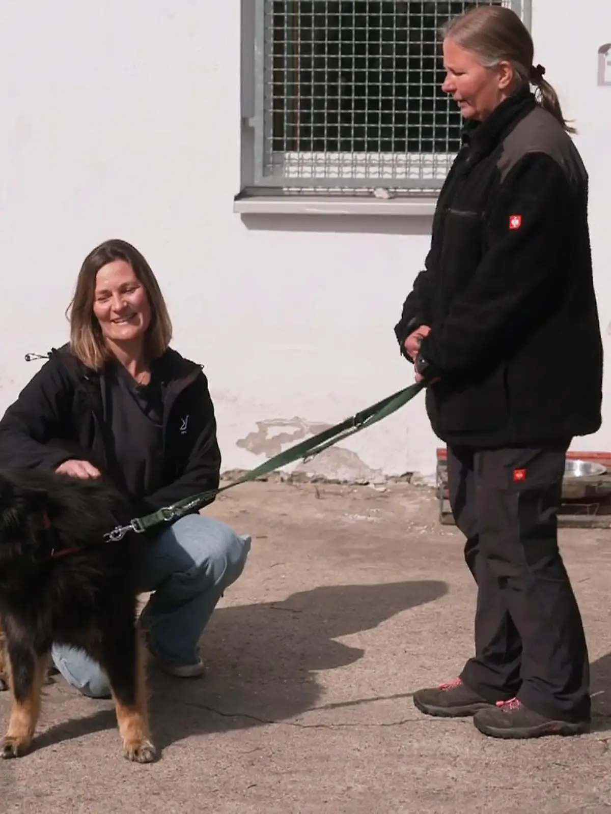 Bild zu: "Jimmy wieder im Tierheim: Gibt’s noch Hoffnung?"