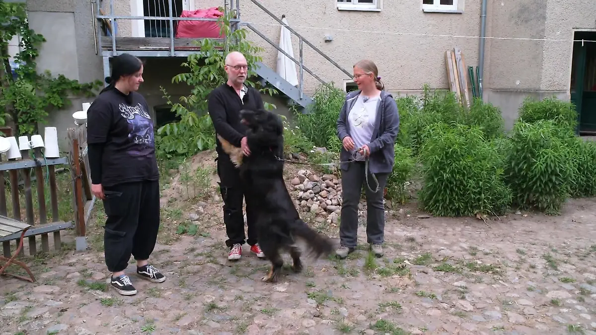 Happy End für Jimmy – oder Stress im Stall? Hund trifft Huhn