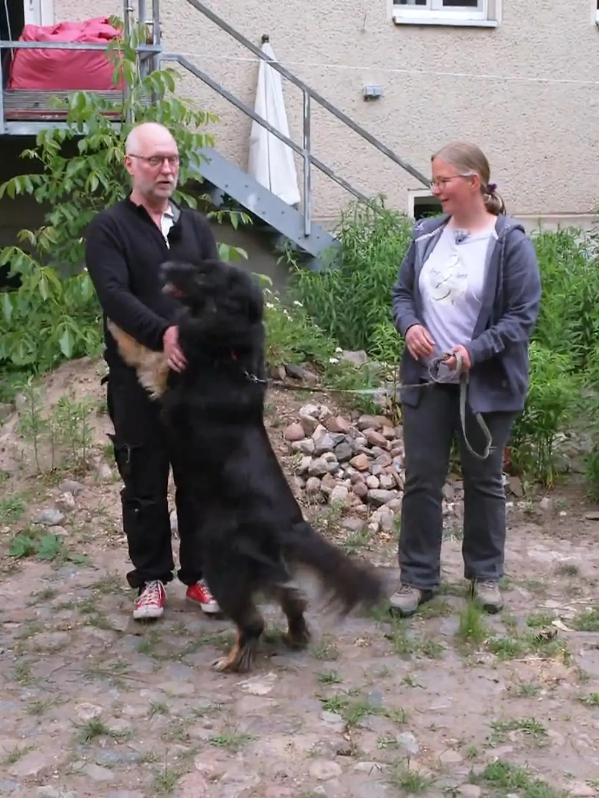 Bild zu: "Happy End für Jimmy – oder Stress im Stall?"