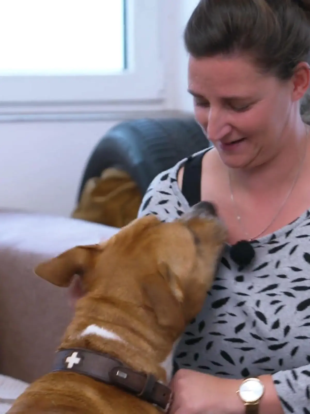 Bild zu: "Geronimo trifft Franziska: Wird das sein Zuhause?"