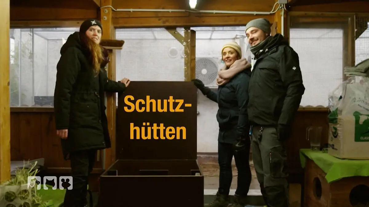 Bild zu: "So macht man sein Kaninchengehege winterfest"