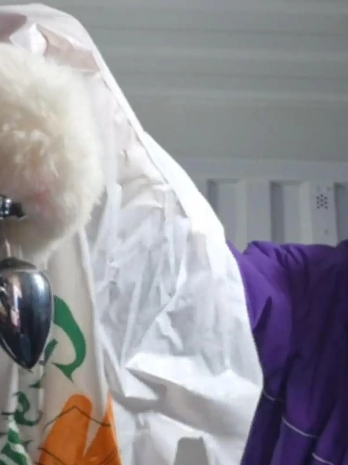 Sexspielzeug im Flohmarkt-Schnäppchen! DAS hat Nathan jetzt damit vor