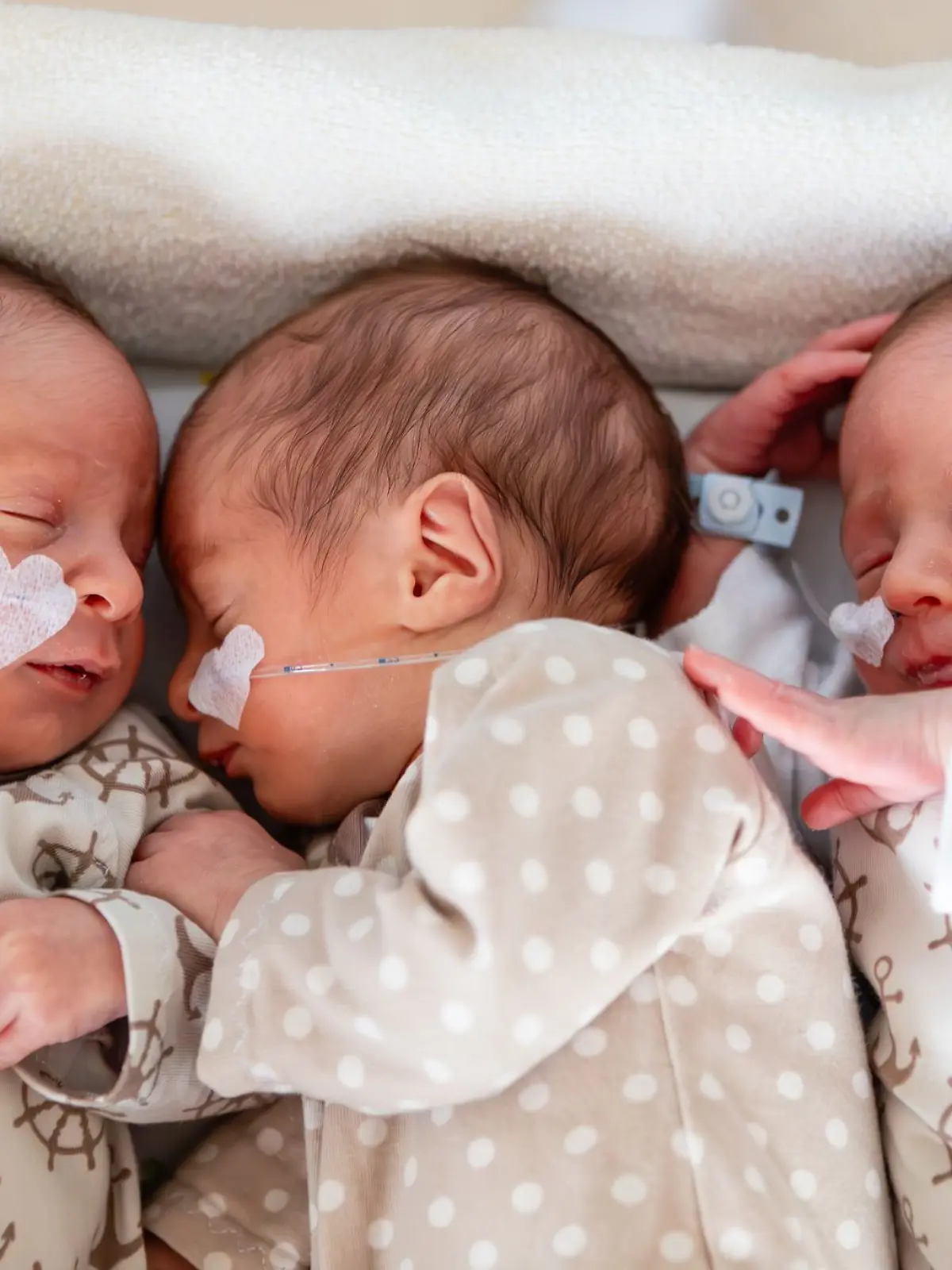 Bild zu: "Seltener als Lottogewinn! Eineiige Drillinge in Bamberg geboren"