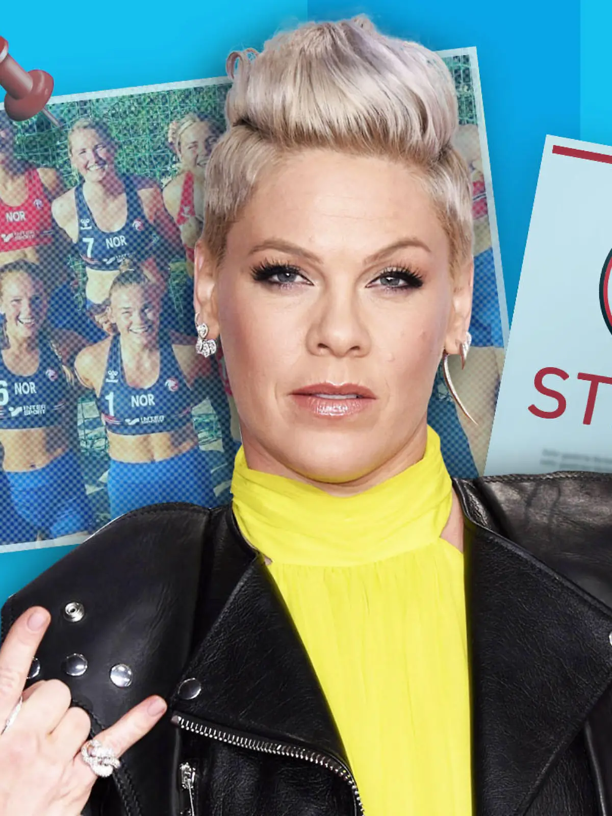 Pink will Geldstrafe übernehmen.