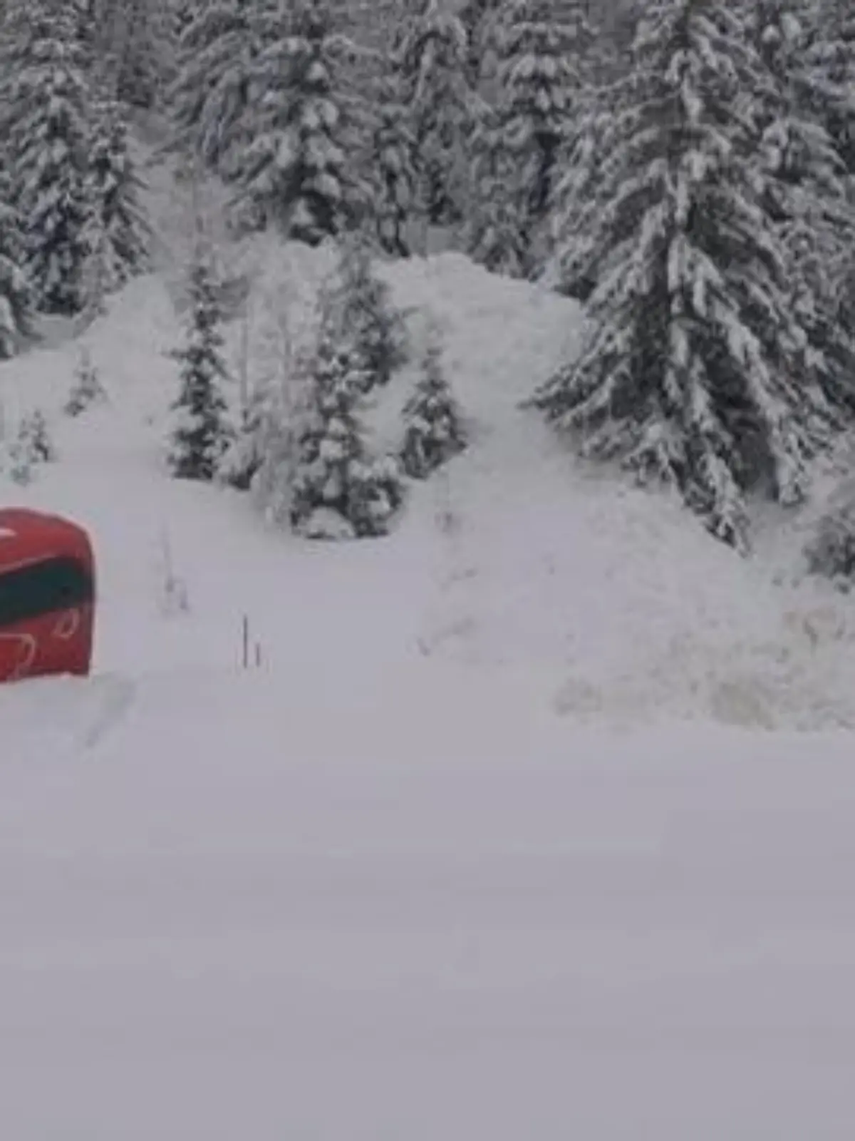 Bild zu: "Lawine erfasst Reisebus! Schneemassen reißen Touristen von Straße"