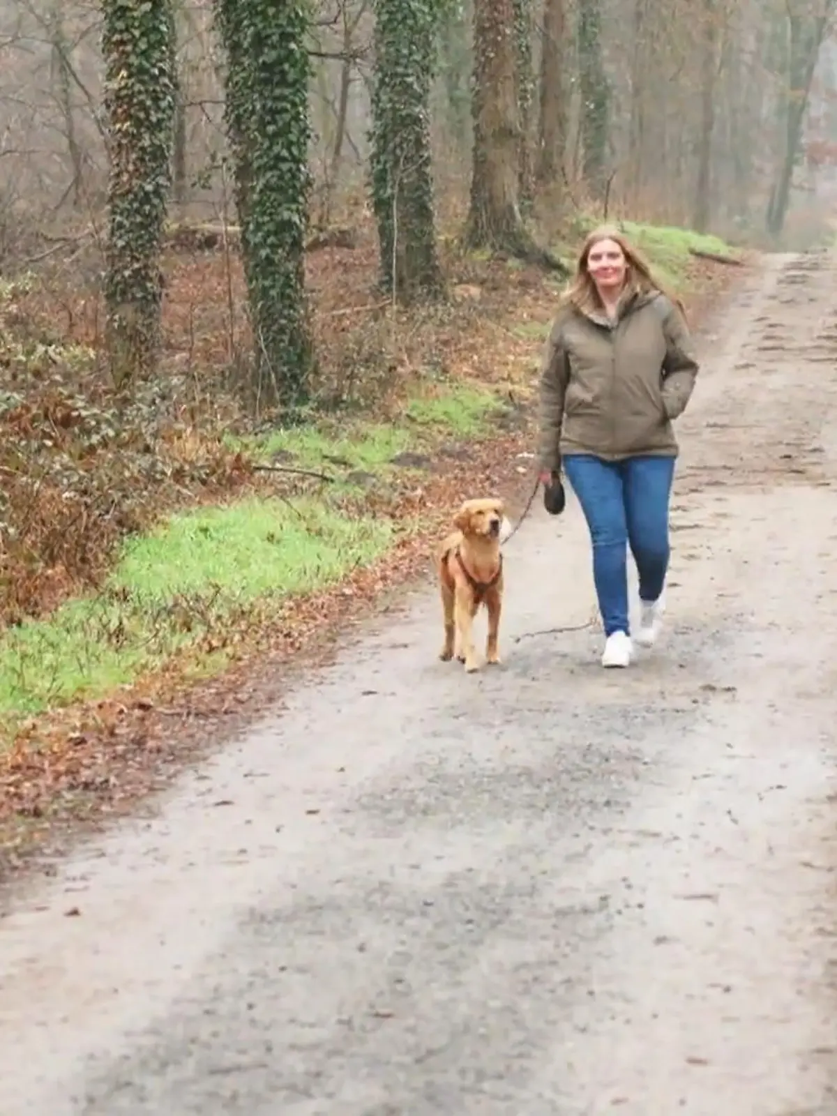 Bild zu: "Liebe dank Hund"