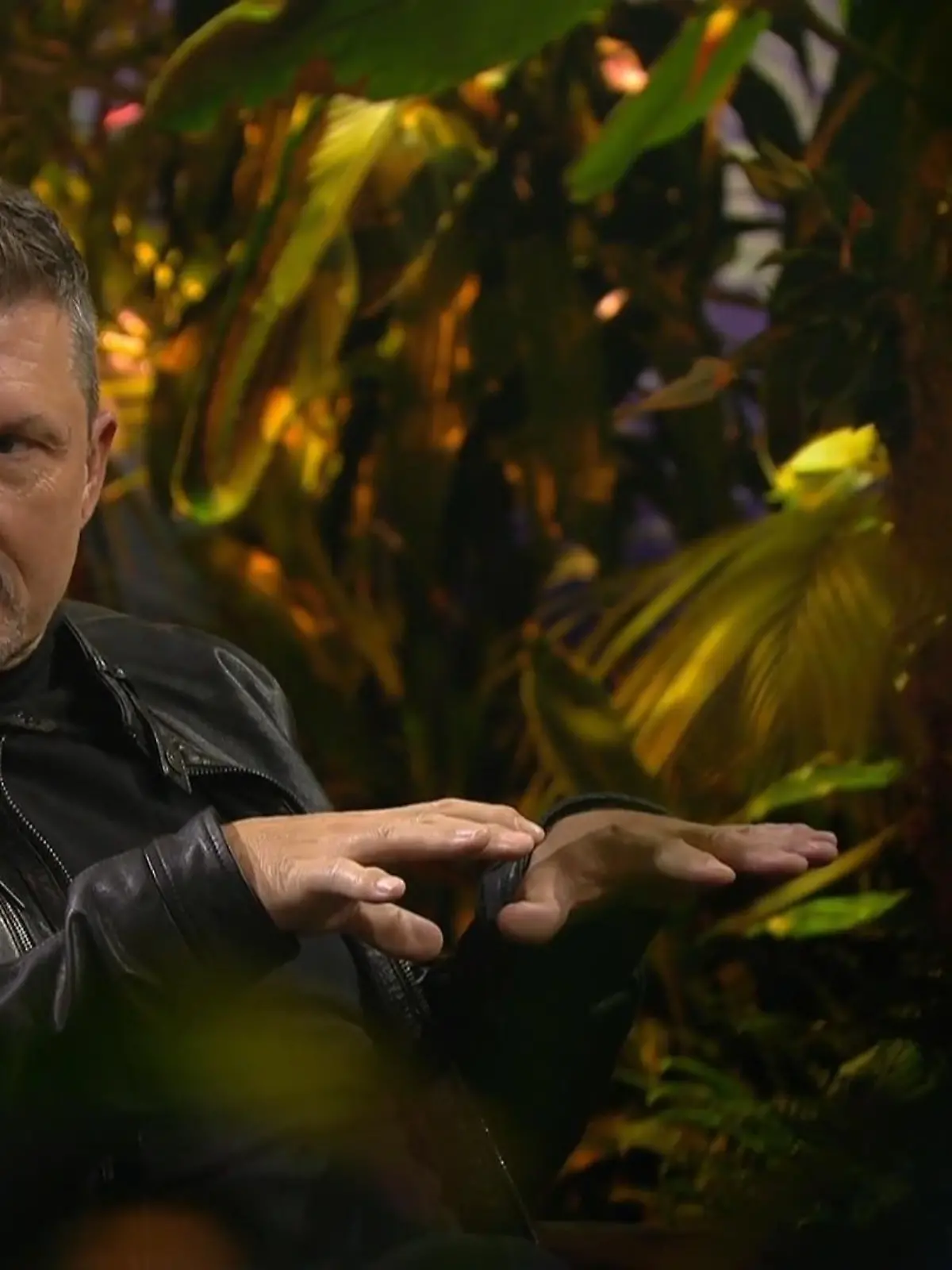 Bild zu: "Wurde Hardy Krüger im Dschungelcamp zu selten gezeigt?"