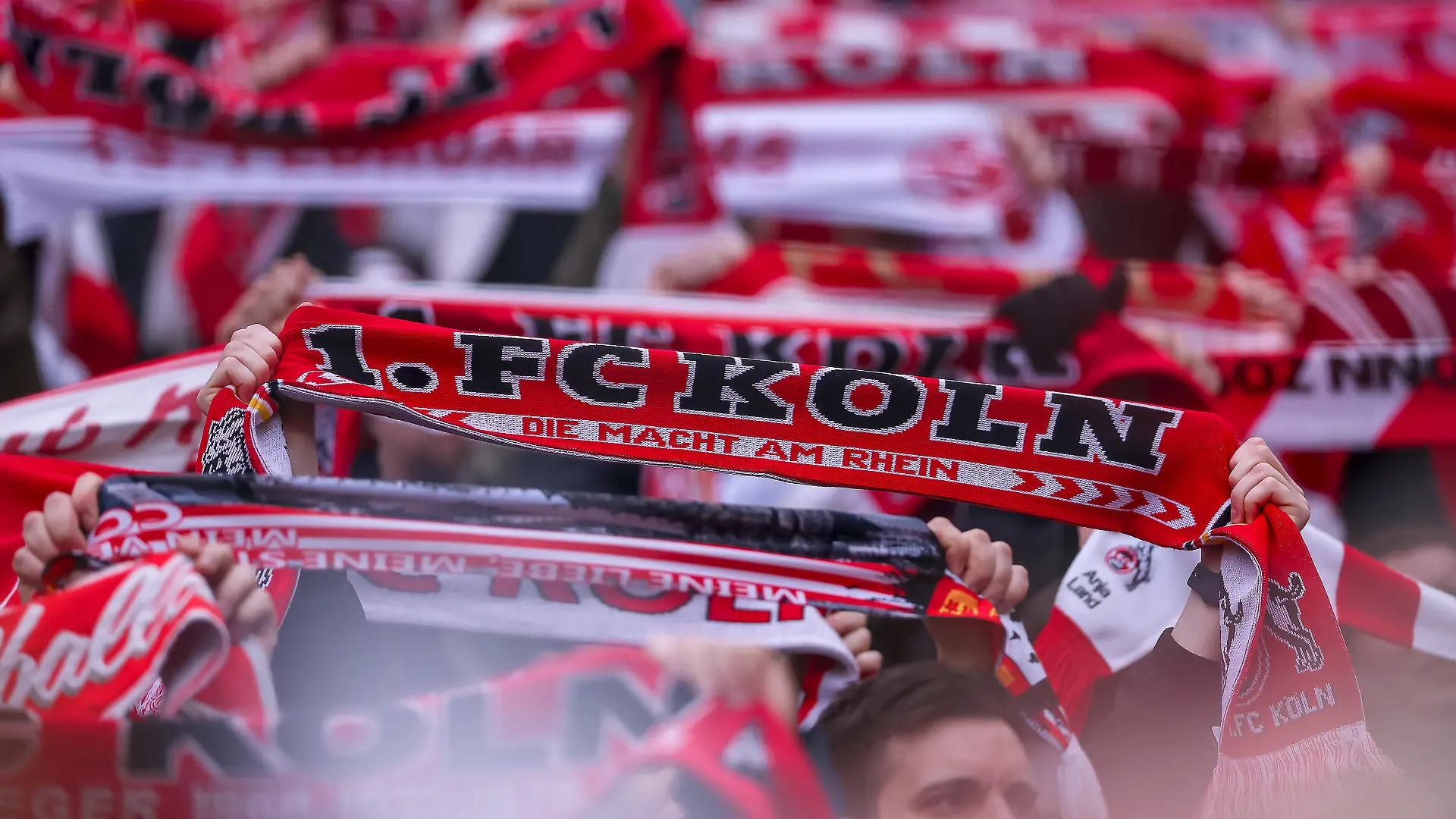 21.02.2026, Fußball, 1. FC Köln - TSG 1899 Hoffenheim, 1. Fußball Bundesliga, 23. Spieltag, RheinEnergie-STADION, Saison 2025 2026: Symbolbild Fans auf der Tribüne mit Fanschal Schal banner Logo Schriftzug. Die Zuschauer stellen die Unterstützung wegen eines Todesfalls eines FC Fan auf der Tribüne ein. DFB regulations prohibit any use of photographs as image sequences and or quasi-video.