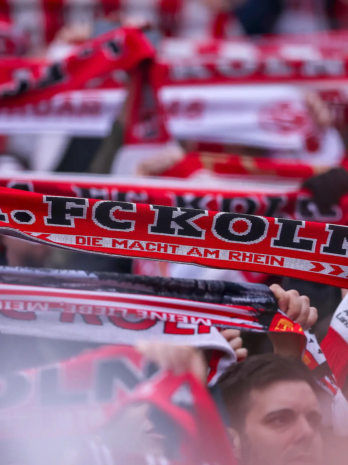 21.02.2026, Fußball, 1. FC Köln - TSG 1899 Hoffenheim, 1. Fußball Bundesliga, 23. Spieltag, RheinEnergie-STADION, Saison 2025 2026: Symbolbild Fans auf der Tribüne mit Fanschal Schal banner Logo Schriftzug. Die Zuschauer stellen die Unterstützung wegen eines Todesfalls eines FC Fan auf der Tribüne ein. DFB regulations prohibit any use of photographs as image sequences and or quasi-video.