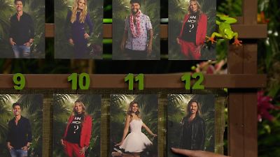 Dschungelcamp-Ticker: Gil Ofarim wird von seinen Mitcampern vom Thron  gestoßen