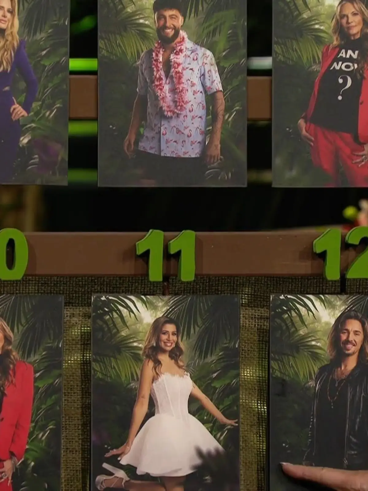 Bild zu: "Die Dschungelcamp-Stars sehen ihn ganz unten"