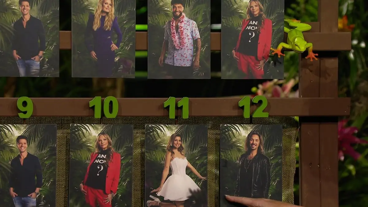 Bei diesem Voting fliegt Gil Ofarim plötzlich vom Thron Dschungelcamp-Nachspiel 2026