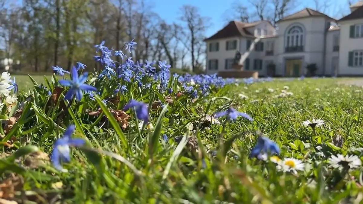 Tipps für einen gesunden Start in den Frühling Frühlingserwachen!