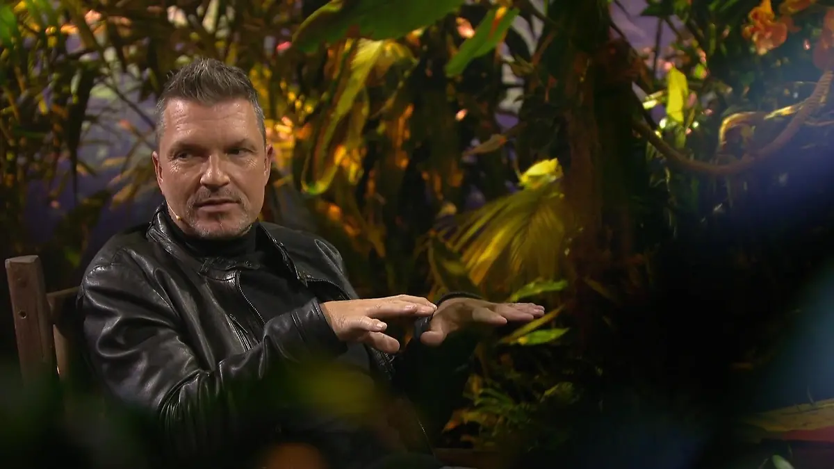 Hardy Krügers Dschungel-Geständnis Nie mehr Reality-TV?