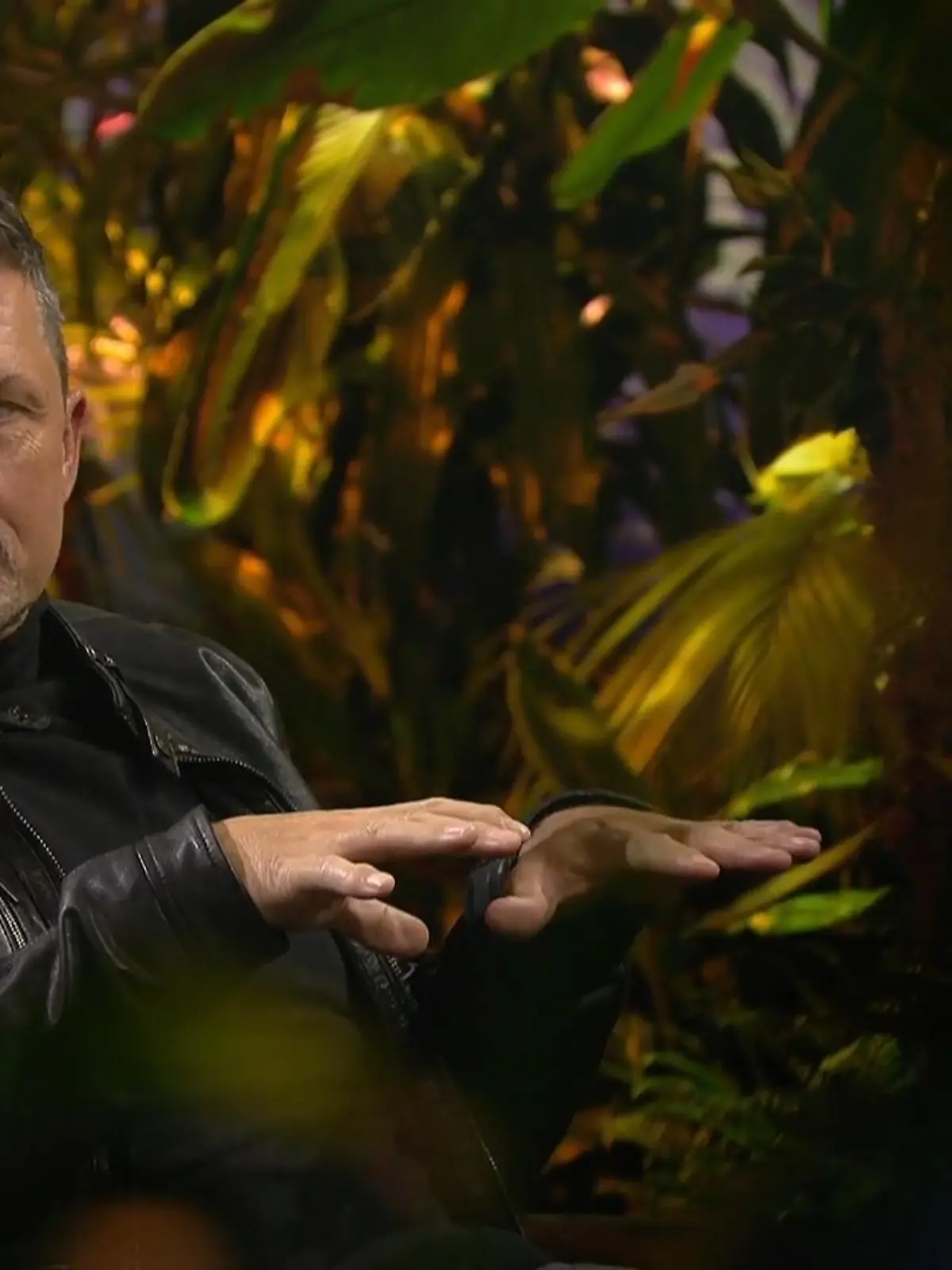 Bild zu: "Hardy Krügers Dschungel-Geständnis"