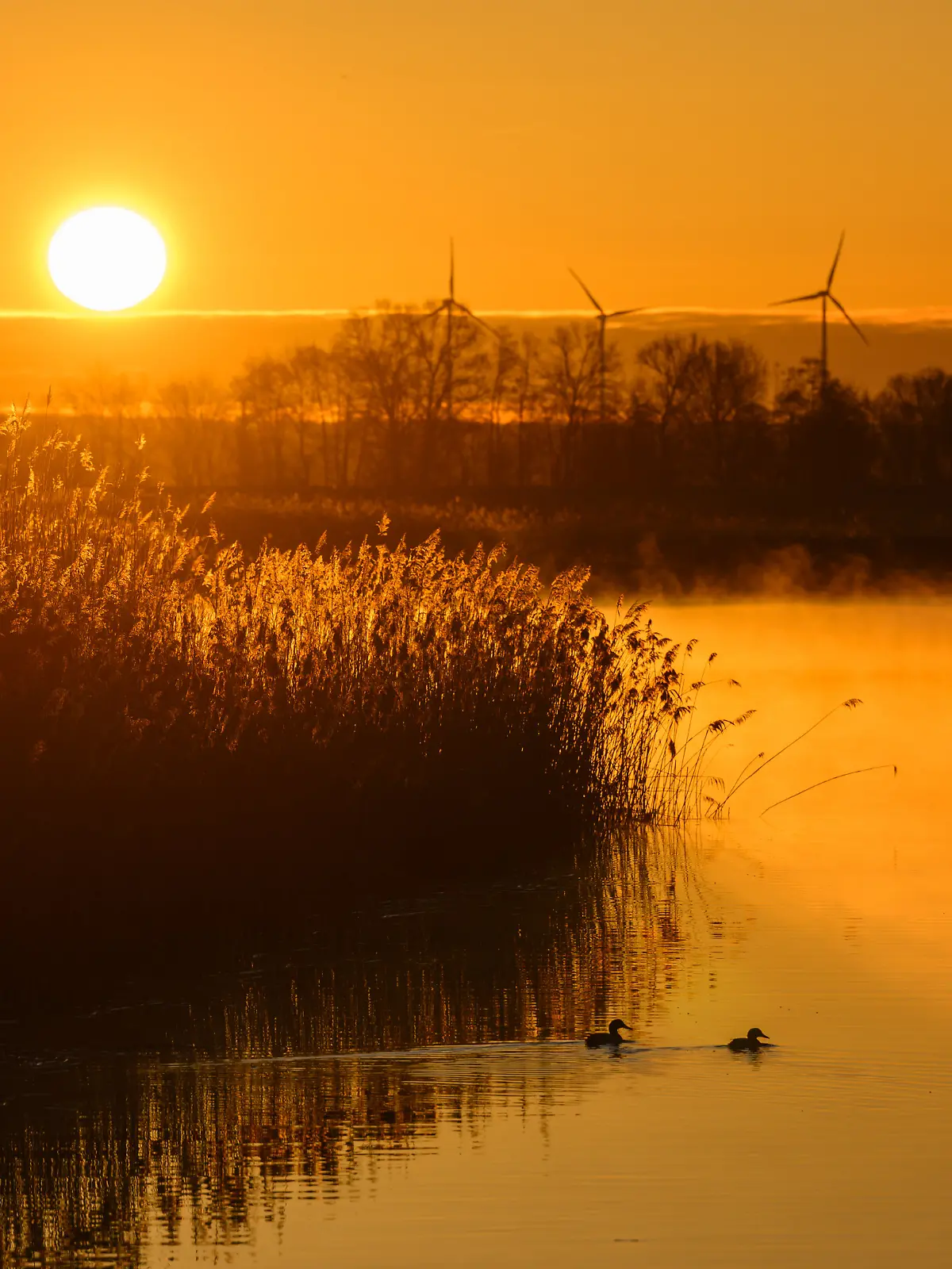 Morgenstimmung in Brandenburg
