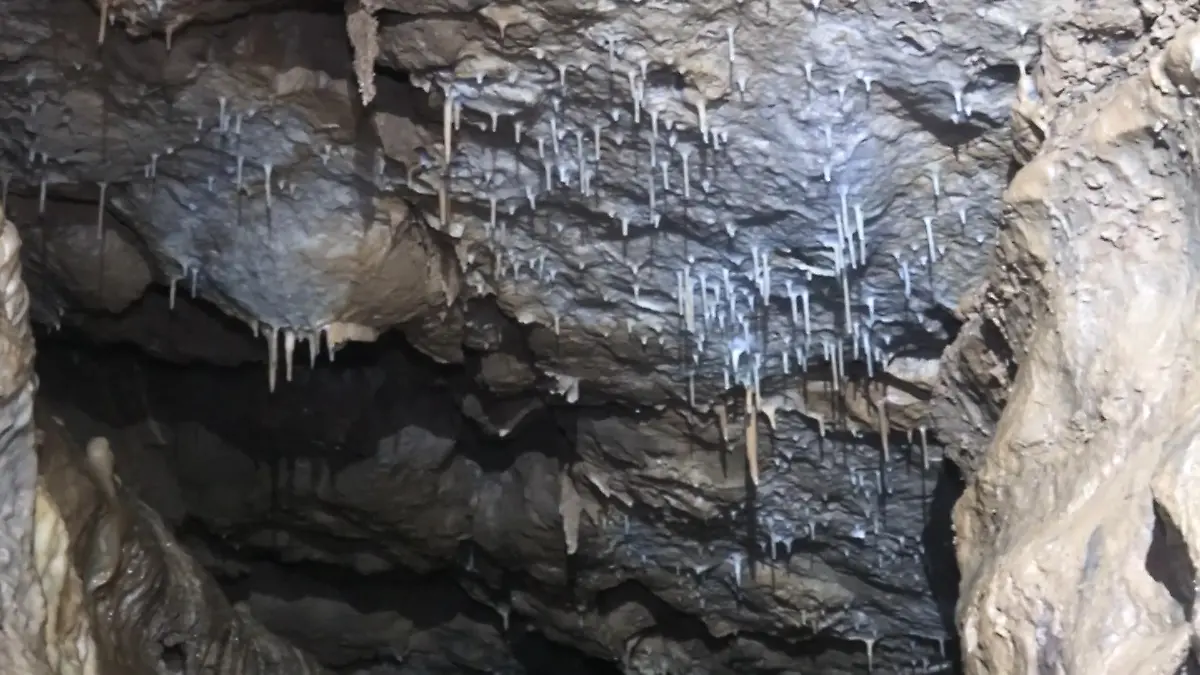 Tropfsteinhöhle unter Tennisplatz Forscher entdecken Naturwunder