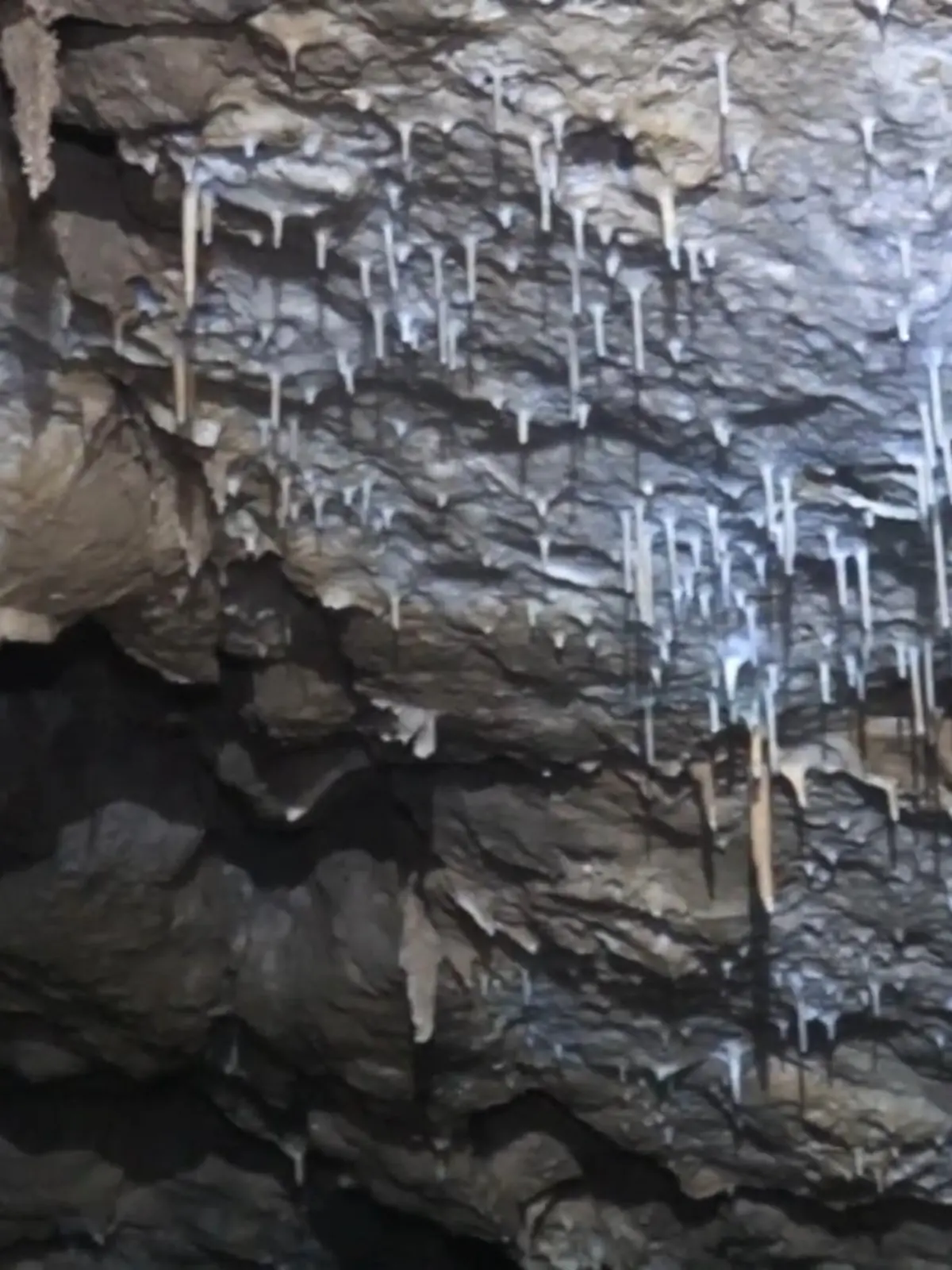 Bild zu: "Tropfsteinhöhle unter Tennisplatz"