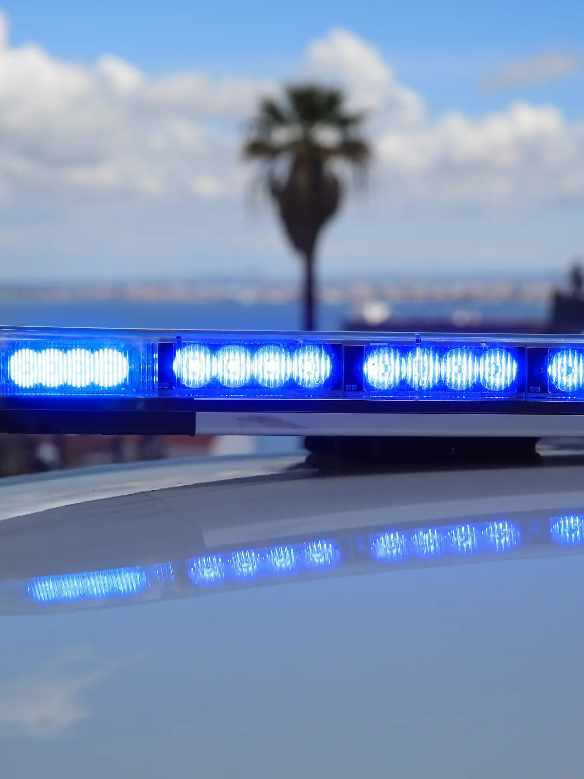 Bild zu: "Rentnerin lag wohl zwei Jahre tot in ihrer Wohnung"