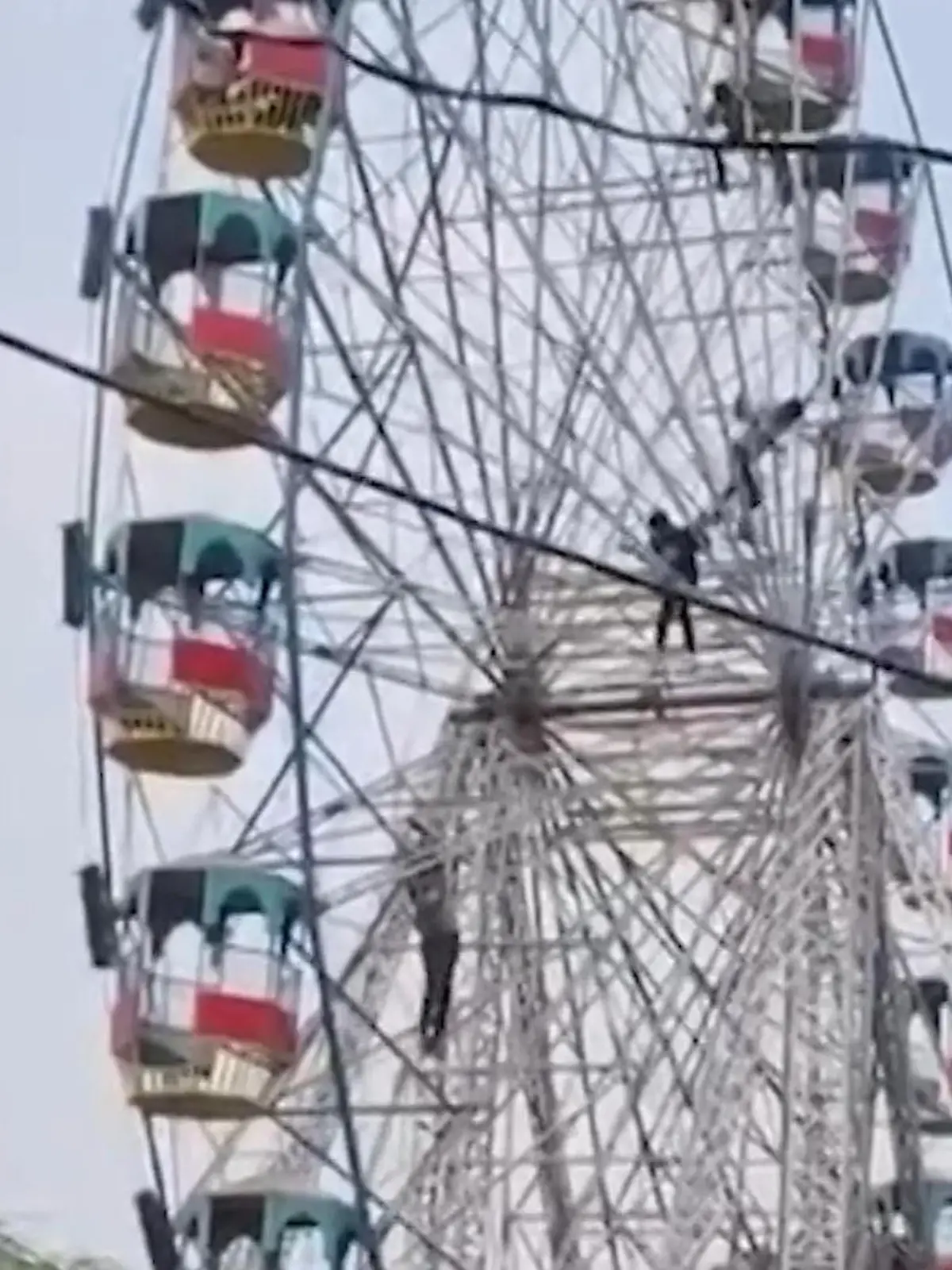 Bild zu: "Riesenrad plötzlich gestoppt – weil tausende Bienen Fahrgäste angreifen!"