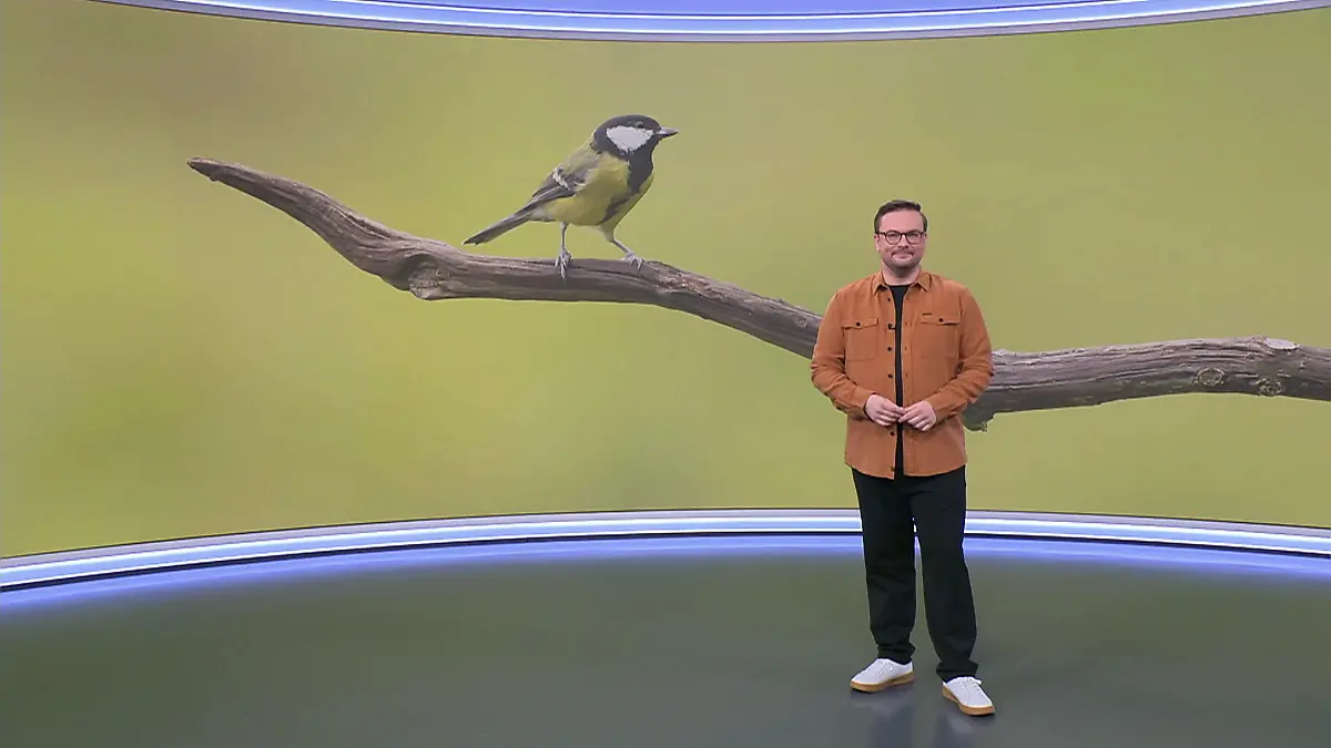 Aktuelle 3-Tage-Vorhersage Video Wetterbericht