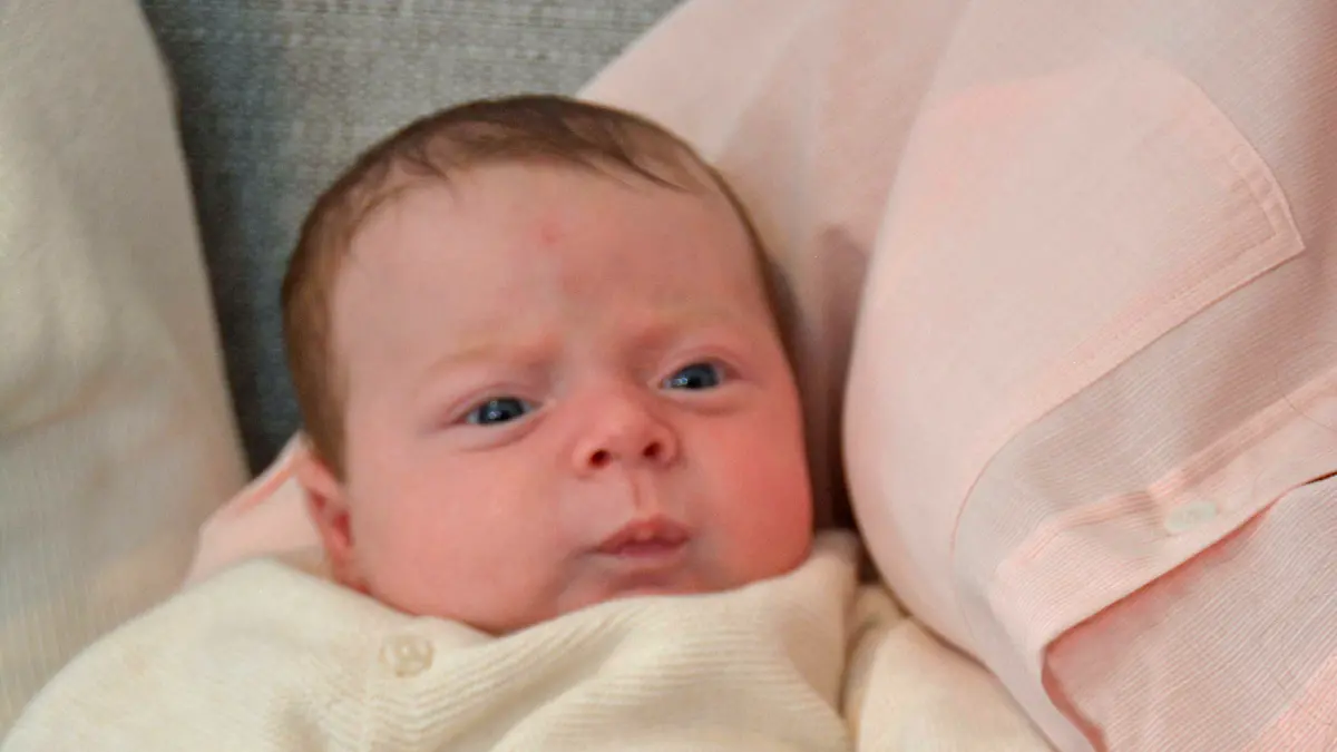 Womb transplant birth