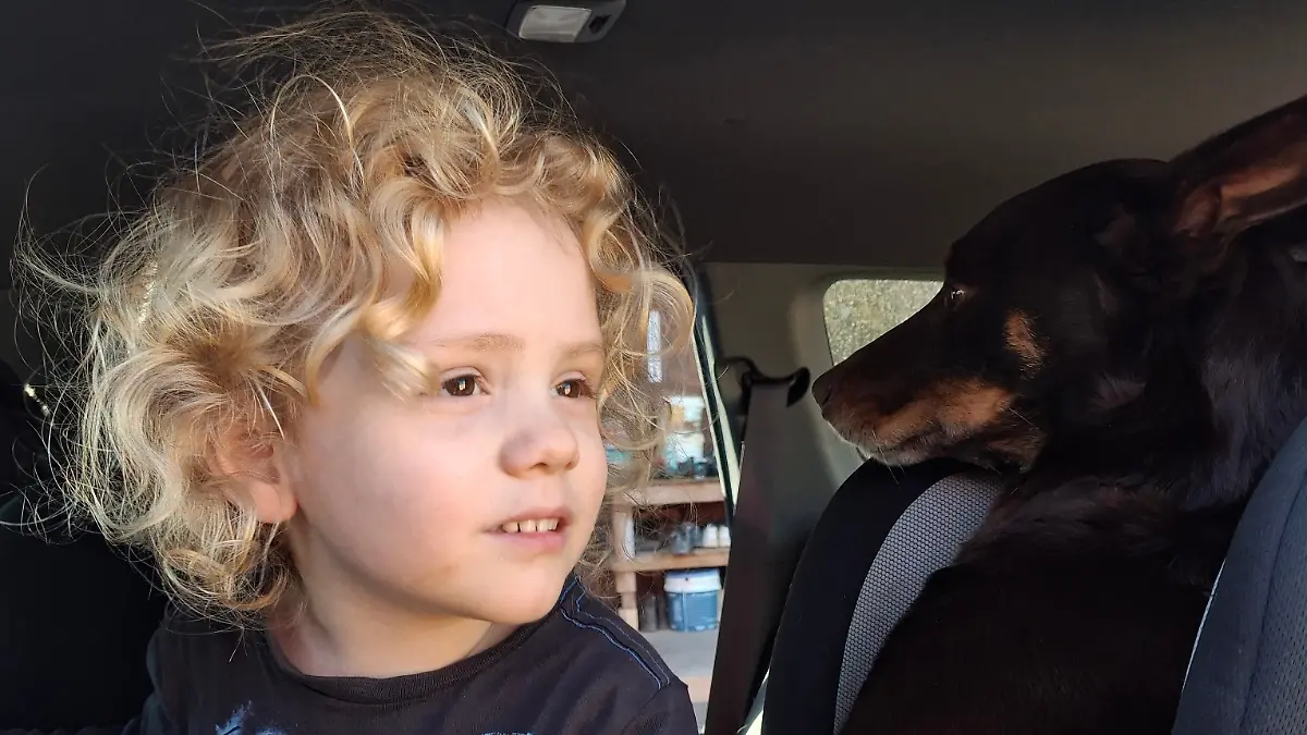 Die australische Polizei hat jetzt ein neues Foto des vermissten vierjährigen Jungen Gus veröffentlicht.