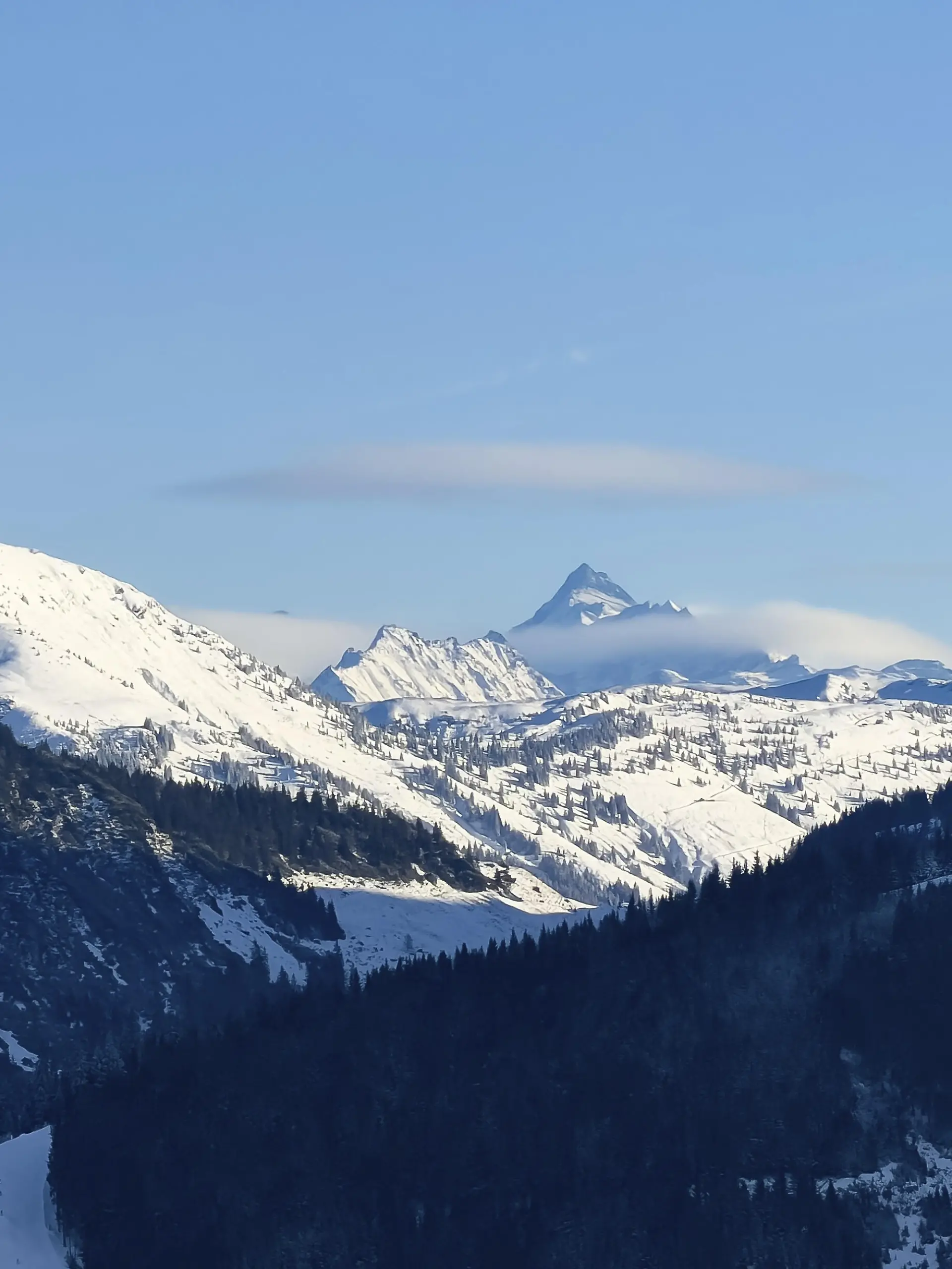 Berggipfel Großglockner, gesehen von Hochbrixen, Kitzbühler Alpen, Tirol, Österreich